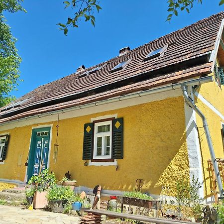Pirching am TraubenbergLandhaus Hideaway Ruheoase Pool公寓 外观 照片