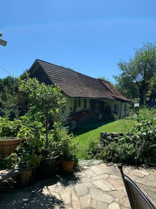 Pirching am TraubenbergLandhaus Hideaway Ruheoase Pool公寓 外观 照片